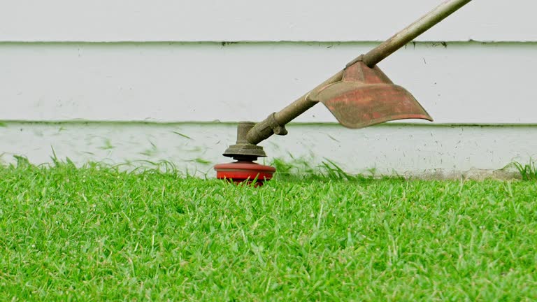 Lawn Irrigation Installation and Maintenance in Buena Vista, GA